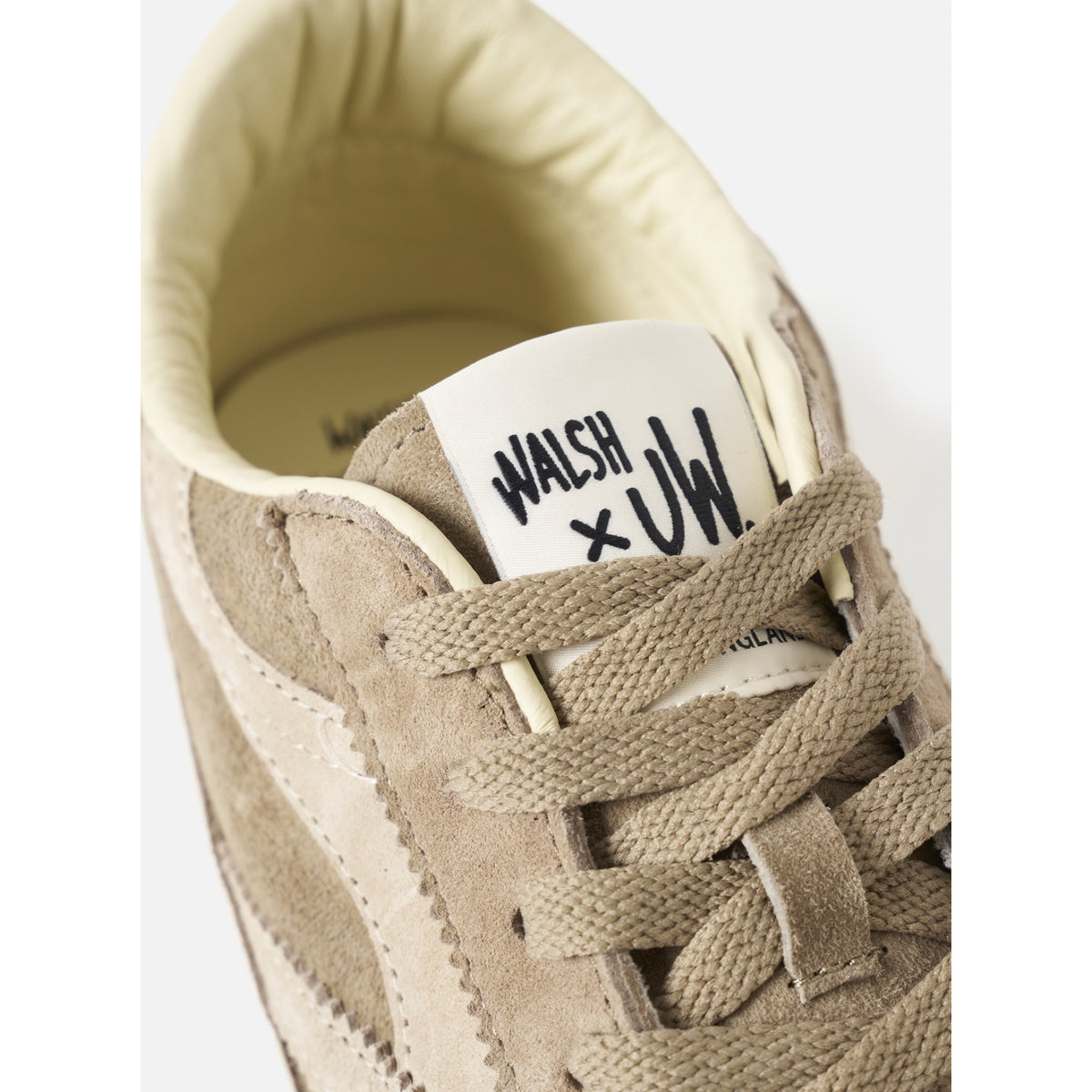 Walsh x UW. Cob camel