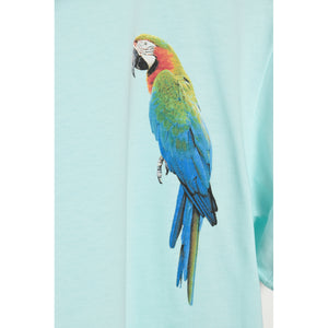 Brosbi Parrot mint